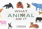 What type of animal am I quiz ?