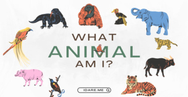 What type of animal am I quiz ?