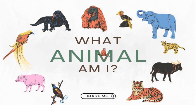 What type of animal am I quiz ?