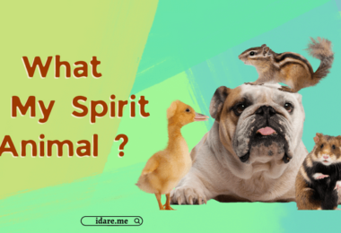 What Is My Spirit Animal by Birthday Quiz
