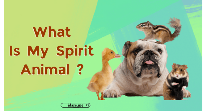 What Is My Spirit Animal by Birthday Quiz