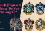 Harry Potter House Quiz