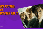 harry potter what character am i