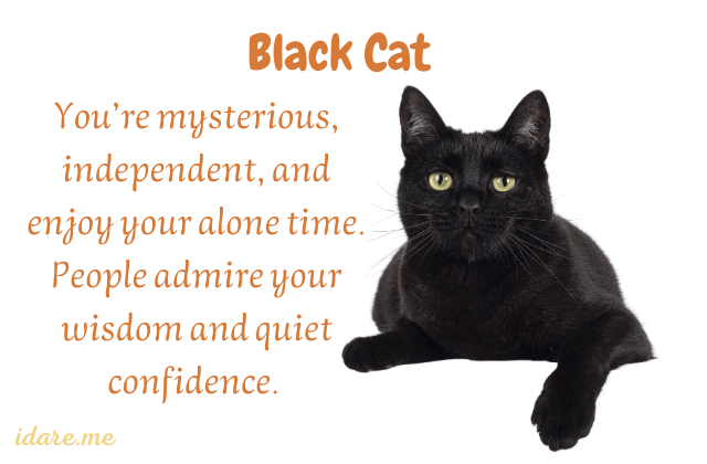 Are You a Black Cat or Golden Retriever?